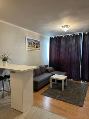 Coser Apartamenty Centrum 1